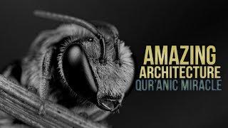 Honeybees - Amazing Architecture  (Miracle of Quran)