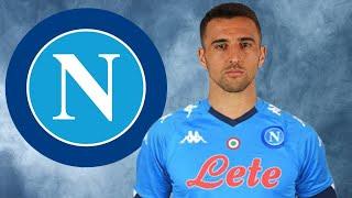 Matias Vecino ● Welcome to Napoli ● 2020 