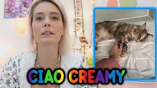 Ciao Creamy.