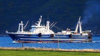 F/t Kapitan Nazin - bluewhiting fishing