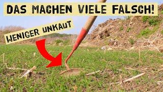 Weniger Unkraut - mit diesem einfachem Tipp kannst du dir viel Arbeit im Gemüsegarten ersparen!