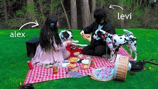 a forest picnic with my best friend levi...