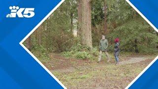 'Aggressive' owl attacking visitors at Everett park, county officials say