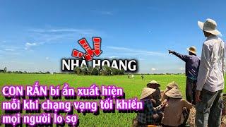 Đi tìm CON RẮN bí ẩn xuất hiện quanh CĂN NHÀ HOANG | TGSB #1027