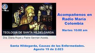 Santa Hildegarda: Causas de las enfermedades.