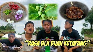 CARA MEMASAK BIJI BUAH KETAPANG YANG JARANG DI KETAHUI | SAMBAL MERAH BIJI BUAH KETAPANG ANTI GALAU