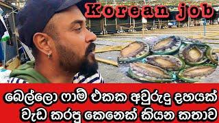 බෙල්ලො ෆාම් [part2] korean jobs. Divara rakiya dakunu koreava fishing job