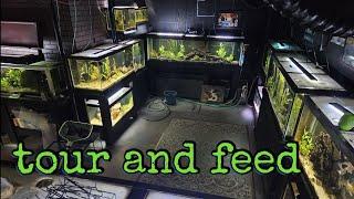 fishroom feeding and tour