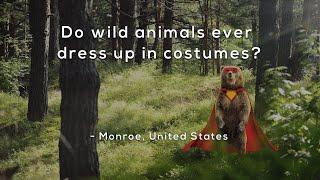 Do wild animals ever dress up in costumes?