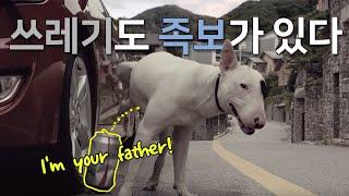쓰레기도 족보가 있다(I am your father) | 종합편 | 재활용 공익광고 | 환경부