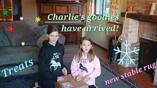 unboxing Charlie's new goodies #pony