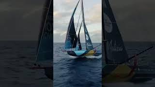 Flying at 28 knots over the Southern Ocean  #sailing #theoceanrace #teammalizia