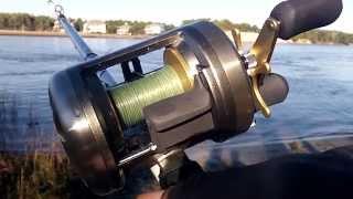 Shimano Cardiff 400A Fishing Review