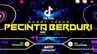 DJ PECINTA BERDURI || VIRAL TIKTOK‼️ FUNKOT VERSION