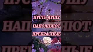 27 апреля 2024 г.