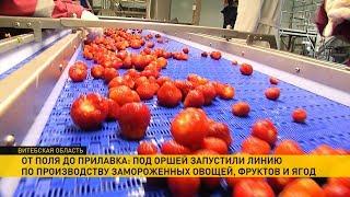 Под Оршей запустили линию по производству замороженных овощей, фруктов и ягод