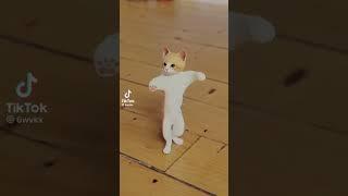 jou jou jou cat #tiktok #youtubeshorts #funny #cat #kids