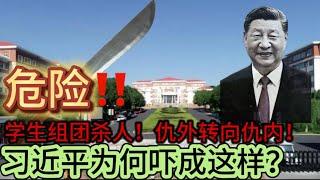 危险！！无锡学生团伙杀人！仇外转向仇内！习近平为何吓成这样？