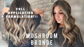 FOILAYAGE | Mushroom Bronde | Full Application + Formulation