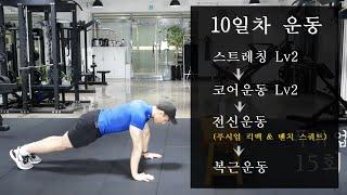 10일차 홈트 : 전신운동 (홈트레이닝)