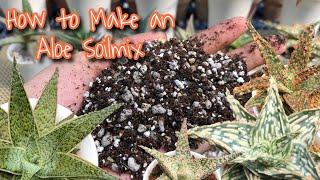 How to Make an Aloe Soilmix // The Plant Prince Ph