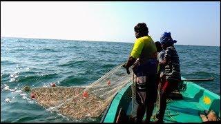 PRAWN CATCHING AT SEA