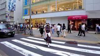 Tokyo Walk 24/7‍️【Urban Paradise】 Shibuya, Shinjuku, Ikebukuro, etc.Please Subscribe!⬇︎⬇︎⬇︎