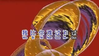 当作没有爱过我  dang zuo mei you ai guo wo karaoke No Vokal