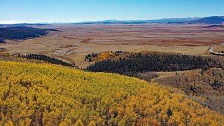 Kenosha Pass Leaf Peeping - Vibrant Aspen Colors Air Tour