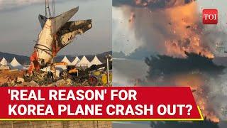 South Korea: 'Real Reason' Behind Plane Crash That Killed 179 Is Finally Out? Jeju Air Probe