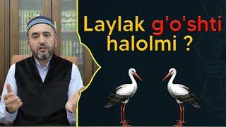 Laylak go'shti halolmi ?