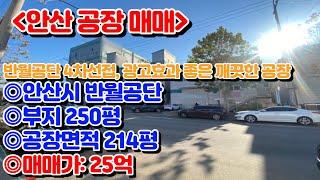 [안산공장매매]안산시 단원구 반월공단 4차선접, 광고효과 좋음, 층고 높음, 호이스트 2기, 리모델링한 깨끗한 공장 매매 25억 부지250평 건물214평[매물번호 SK231121]