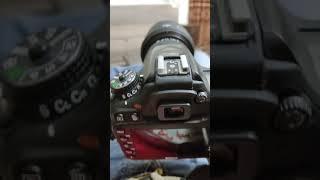 Nikon D7100 with Sigma 17-50 2.8OS | D A N I | Photographer | Photoshoot #shorts #short