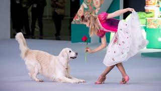Танцы с собаками: Гелена Зырянова и Лада - Розы - Евразия 2023