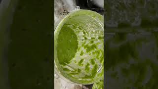 Hari Chutney / Green Chutney #cilantro #sauce #mzsaq #recipe#chutney#chutneyrecipe#easy#food#shorts