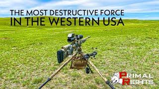 The Most Destructive Force in the Western USA.