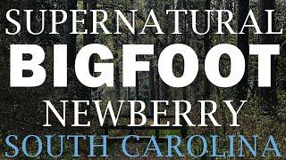 SUPERNATURAL BIGFOOT ENCOUNTER IN NEWBERRY SOUTH CAROLINA (THE DOGS WENT CHASING AFTER IT!) THE ORBS