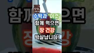 수박과 이것 절대 같이 드시지 마세요!! #건강정보 #생활꿀팁 #노년건강관리