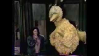 Classic Sesame Street - Big Bird's Day with Keys