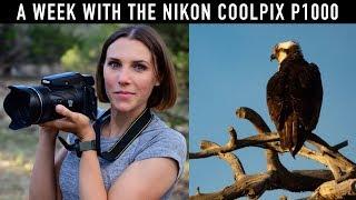 Nikon COOLPIX P1000 - Photos & First Impressions