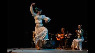 Flamenco Power: Alegrías de Cádiz