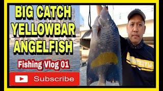 BIG CATCH ANGELFISH || WHEAT FLOUR BAIT || FISHING VLOG