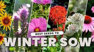 12 of the BEST Seeds to Winter Sow | Cold Stratification for Stronger Perennials I Perennial Garden