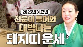 ⭐2023년 운세 계묘년에 돈복터져 무조건 대박나는 돼지띠운세! 대운이 들어왔네요~ 59년생 71년생 83년생 95년생 / 28세 40세 52세 64세 돼지띠 운세