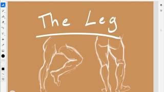 Life Drawing   The Leg