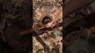 I Found a Native American Weapon Kettle Spear Point!