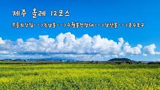 202311제주올레길12코스 트레킹 후기(2023제주올레걷기축제)