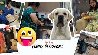 Funny Bloopers | Behind the scenes | #joeythepawsome #dog #labrador #funnydogvideos