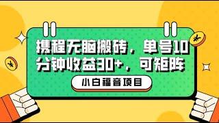 小白新手福音：携程无脑搬砖项目，单号操作10分钟收益30+，可矩阵可放大