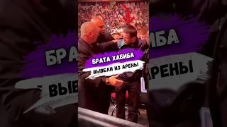 За ЧТО БРАТА ХАБИБА ВЫВЕЛИ ИЗ АРЕНЫ UFC #shorts